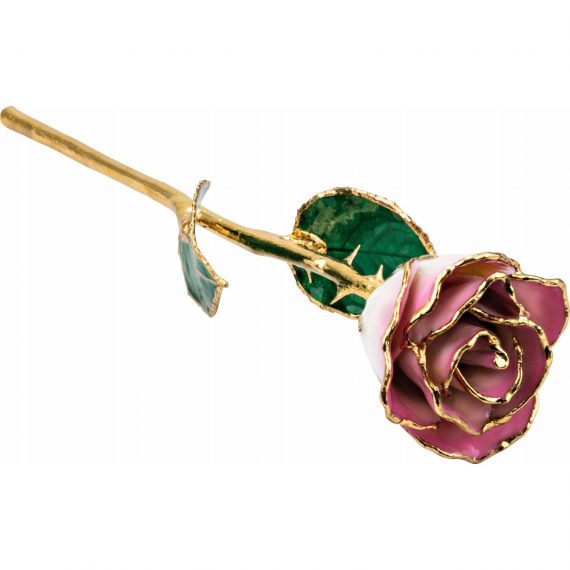Lacquered Cream Pink Rose with Gold Trim from Leonard & Hazel™