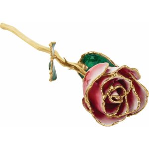 Lacquered Frozen White & Red Rose with Gold Trim from Leonard & Hazel™