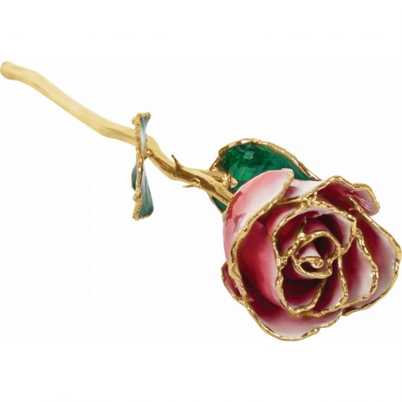 Lacquered Frozen White & Red Rose with Gold Trim from Leonard & Hazel™