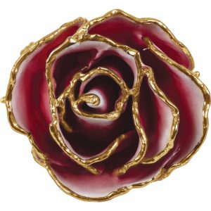 Lacquered Frozen White & Red Rose with Gold Trim from Leonard & Hazel™