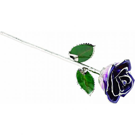 Lacquered Purple Rose With Platinum Trim from Leonard & Hazel™