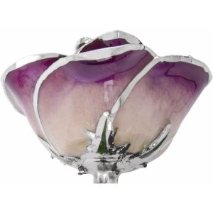 Lacquered Purple Rose With Platinum Trim from Leonard & Hazel™