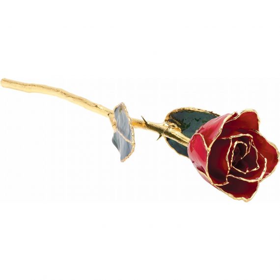 Lacquered Red Rose With Gold Trim from Leonard & Hazel™