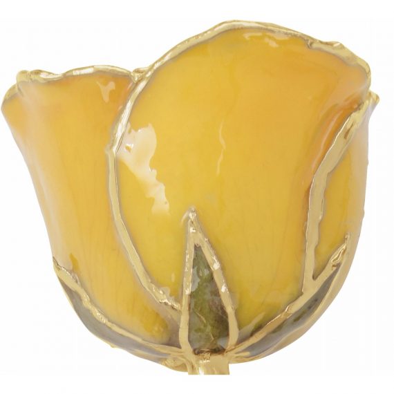 Lacquered Yellow Rose With Gold Trim from Leonard & Hazel™
