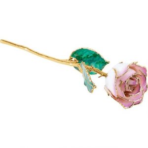 Lacquered Cream Picasso Rose with 24K Gold Trim from Leonard & Hazel™