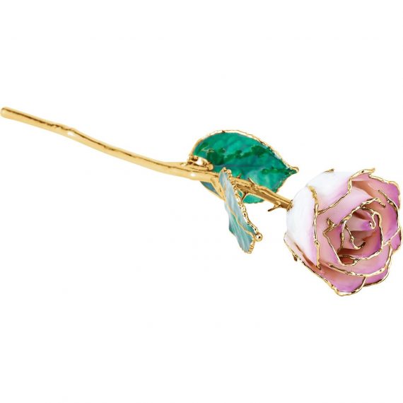 Lacquered Cream Picasso Rose with 24K Gold Trim from Leonard & Hazel™
