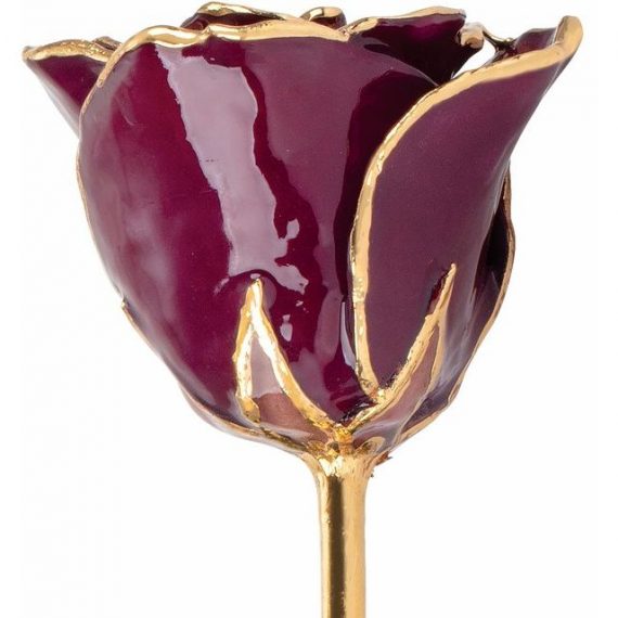 Lacquered Burgundy Rose with Gold Trim from Leonard & Hazel™