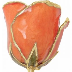Lacquered Orange Rose With Gold Trim from Leonard & Hazel™