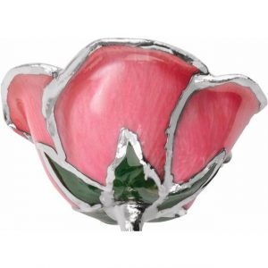 Lacquered Pink Rose With Platinum Trim from Leonard & Hazel™