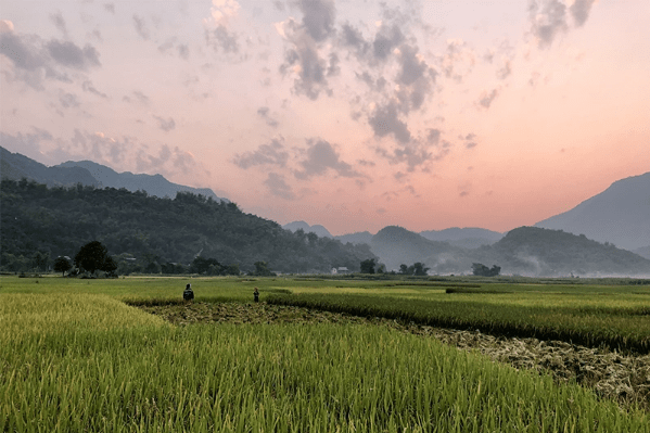 Picture of Vietnam's countryside