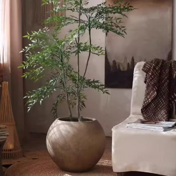 plant landing round large