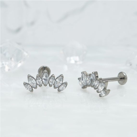 1 Pair Of Women'S Earrings, 16 Gauge Implant Grade Titani