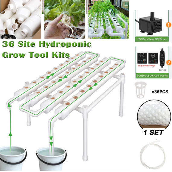 Sites Hydroponic Grow - Leonard & Hazel