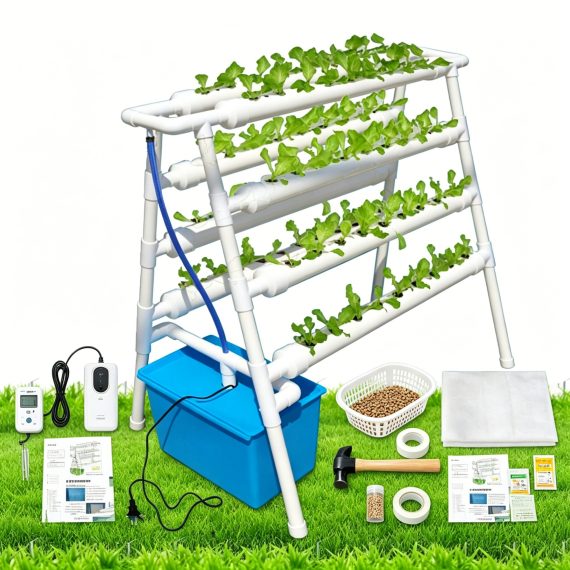 Balcony Hydroponic Vegetable - Leonard & Hazel